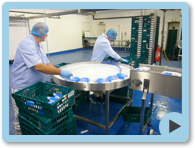 Image of Pouches being packed into crates